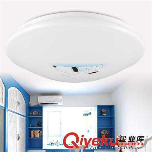 LED陽臺燈 廠家批發LED陽臺燈走廊燈玄關燈亞克力吸頂燈燈飾全白 led原始圖片2