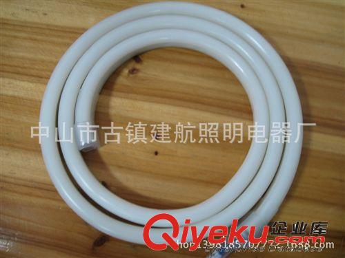 LED柔性霓虹燈帶 廠家直銷 LED柔性霓虹燈  LED燈帶原始圖片3