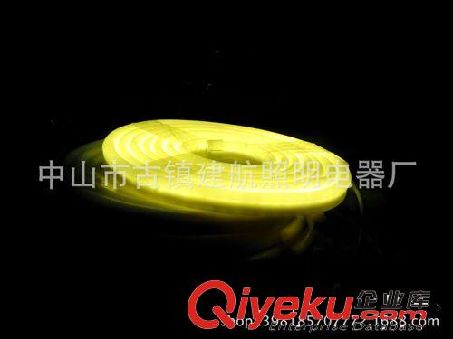LED柔性霓虹燈帶 12V 24V  110V 220V LED霓虹燈帶 廠家直銷優質燈帶  工程亮化燈