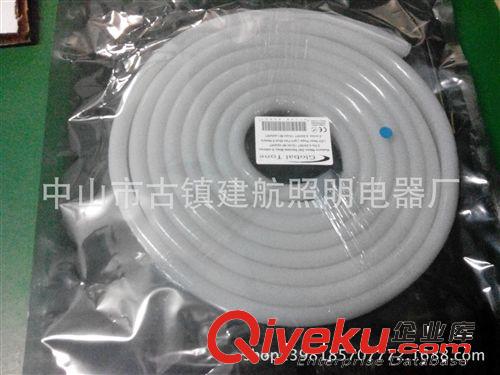 LED柔性霓虹燈帶 12V 24V  110V 220V LED霓虹燈帶 廠家直銷優質燈帶  工程亮化燈原始圖片2