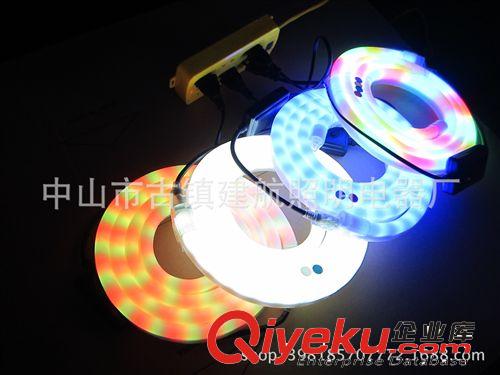 LED柔性霓虹燈帶 LED霓虹燈帶 質保二年 工程品質14*26CM  顏色豐富