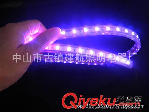 LED高壓燈帶 火爆熱銷LED  5050 RGB七彩燈帶燈條 現貨一件可批
