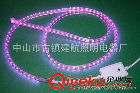 LED高壓燈帶 220V  5050LED高壓燈帶 燈條60燈 標準尺寸