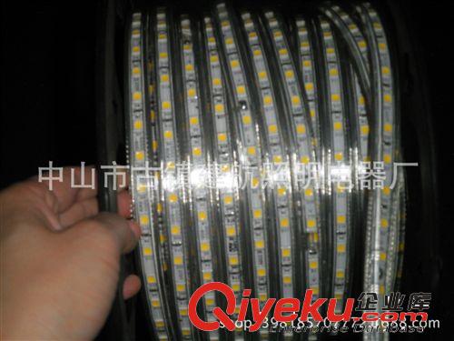 LED高壓燈帶 220V  5050LED高壓燈帶 燈條60燈 標準尺寸原始圖片3