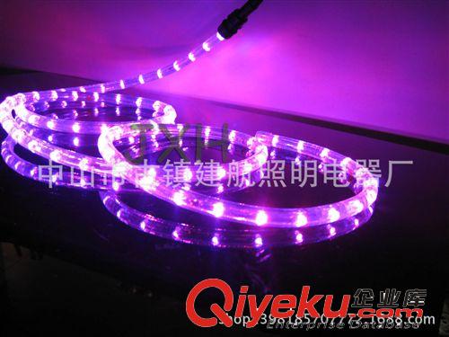 LED彩虹管 LED圓二線彩虹管  LED燈帶 LED管燈原始圖片2