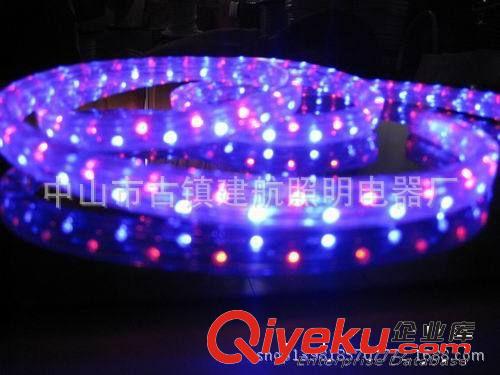 LED彩虹管 廠家直銷LED扁三線彩虹管  顏色可訂做