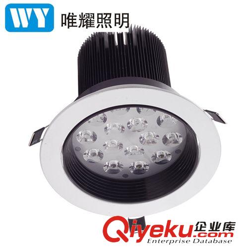 天花燈黑白款 廠家熱銷 led高光天花燈15w led天花燈 質(zhì)量保證 led射燈原始圖片3