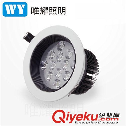 天花燈黑白款 12w黑白 led 天花燈  廠家直銷 tj 射燈