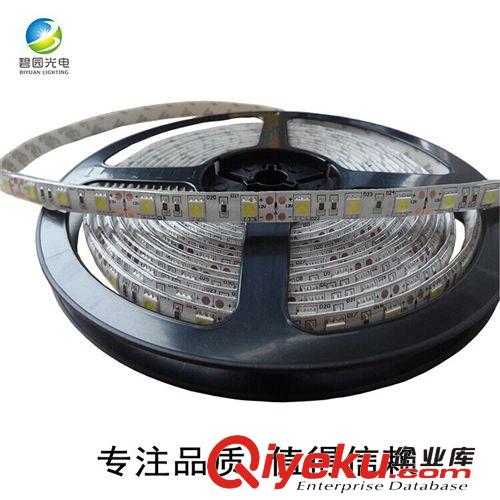 LED燈帶 中山廠家直銷高品質(zhì)高亮度60珠12V5050LED低壓軟燈條