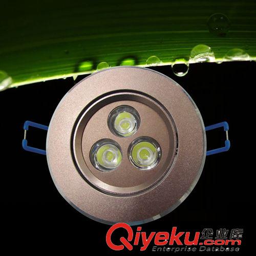 LED天花燈 供應3*1W LED 天花燈  tj銷售 3W天花燈 LED3W天花燈 LED射燈