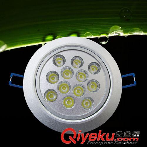 LED天花燈 天花燈 12WLED天花燈 射燈 大功率天花燈 家居商場通用 室內照明原始圖片2