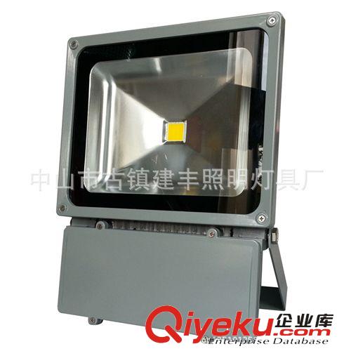 投光燈外殼套件 厚的 led 100w投光燈外殼 100w led泛光燈外殼 投光燈外殼廠家原始圖片2