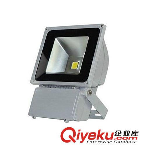 LED投光燈 LED投光燈10W20W30W50W70W80W100W150W200W