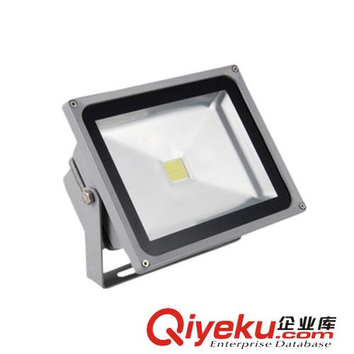 LED投光燈 cdj50W LED投光燈 大功率,戶外照明泛光燈ip66  光效好原始圖片2
