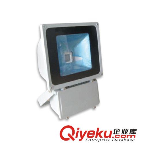 LED投光燈 廠家直銷 LED投光燈飛利浦芯片12W 圓形戶外投射燈
