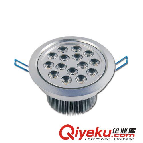 LED天花燈 批發(fā)供應(yīng) led天花燈 大功率射燈 明裝led客廳天花燈15w  質(zhì)量保證原始圖片2