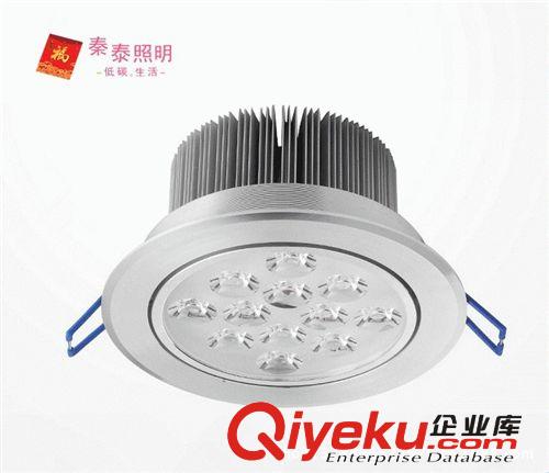LED天花燈 廠家直銷 更有優(yōu) LED射燈 背景墻燈 吊頂天花燈 12W 超亮LED筒燈