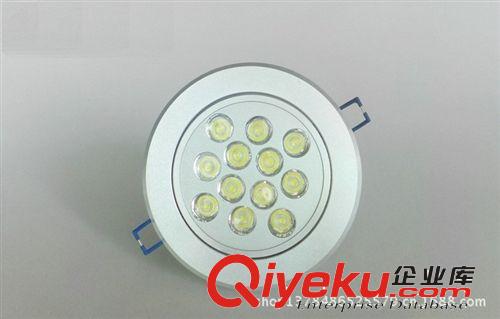 LED天花燈 廠家直銷 更有優(yōu) LED射燈 背景墻燈 吊頂天花燈 12W 超亮LED筒燈