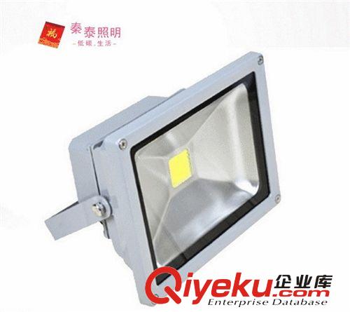 LED投光燈 室內(nèi)照明 大功率20W集成投光燈LED射燈廠家直銷 質(zhì)保3年