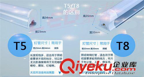 tj產(chǎn)品區(qū) 廠家直銷T5-T8一體化燈管led日光燈管分體燈管量大更優(yōu)惠 質(zhì)保2年