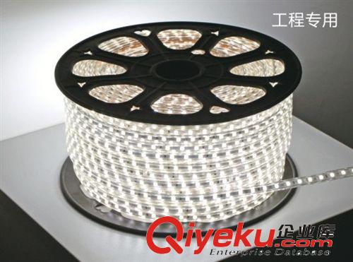 tj產品區 本供應高壓220V LED燈帶 3528貼片 60珠 LED防水燈帶 質保2年