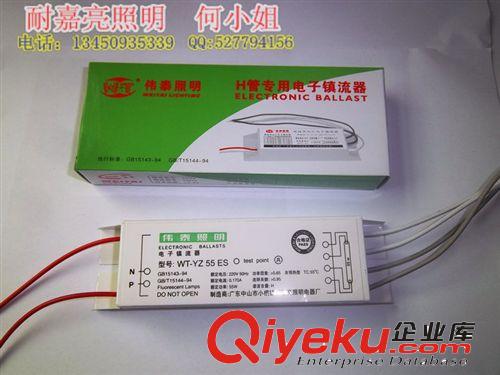 鎮(zhèn)流器 廠價(jià)直銷讓您心動(dòng)價(jià)格的偉泰 博浩 耐嘉亮 2D 10W 電子鎮(zhèn)流器