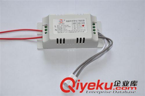 鎮(zhèn)流器 耐嘉亮照明廠價(jià)批發(fā)環(huán)形電子鎮(zhèn)流器 橢圓殼 22W 32W 40W質(zhì)保一年原始圖片3