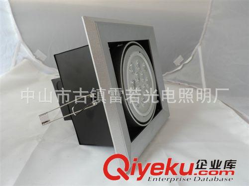 豆膽燈 長(zhǎng)期供應(yīng) 雷若可調(diào)光環(huán)保12W豆膽燈DD-A90-0112原始圖片2