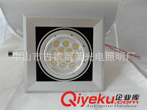豆膽燈 長(zhǎng)期供應(yīng) 雷若可調(diào)光環(huán)保12W豆膽燈DD-A90-0112原始圖片3