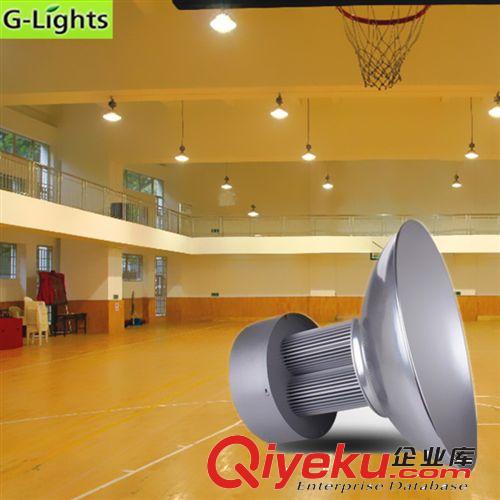 朗亮LED科技工礦燈系列 LED工礦燈 100W工礦燈 廠家直銷 工礦燈生產(chǎn)廠家