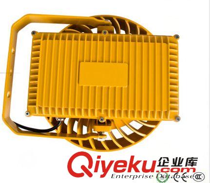 朗亮LED科技工礦燈系列 LED防爆燈 防爆燈 50W防爆燈 防爆燈生產廠家 廠家直銷原始圖片3