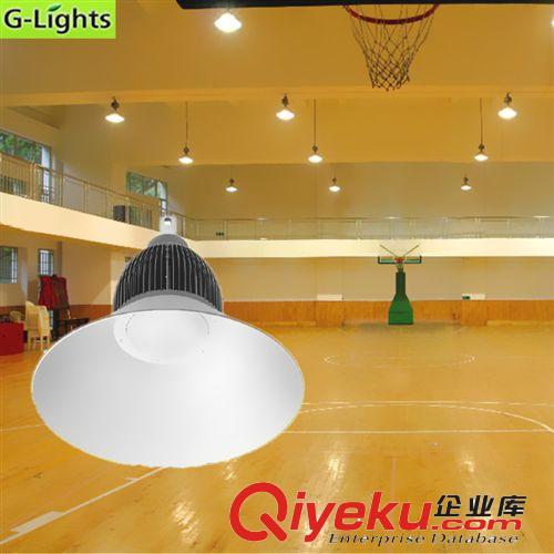 朗亮LED科技工礦燈系列 廠房體育館工礦燈  100W工礦燈 LED工礦燈 工礦燈生產(chǎn)廠家原始圖片2