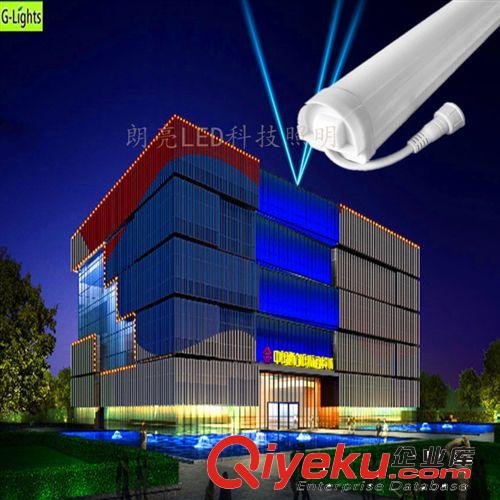 朗亮LED科技護(hù)欄管系列 LED數(shù)碼管 廠家直銷 單彩七彩數(shù)碼管 數(shù)碼管生產(chǎn)廠家