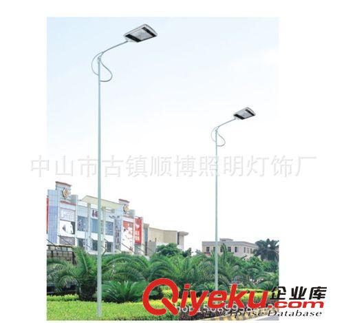 LED路灯 6米单臂30WLED路灯-新农村建设推荐路灯