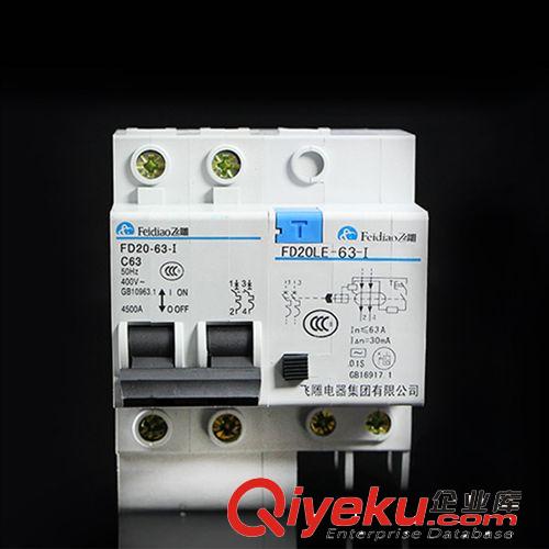 低壓斷路器 【zp】飛雕小型斷路器FD20LE-I(63A)2P原始圖片3