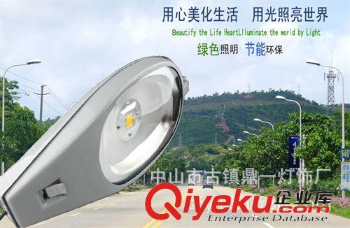 LED路灯/路灯杆 小海豚LED路灯头20W30W50W集成LED路灯头3米4米5米6米路灯杆