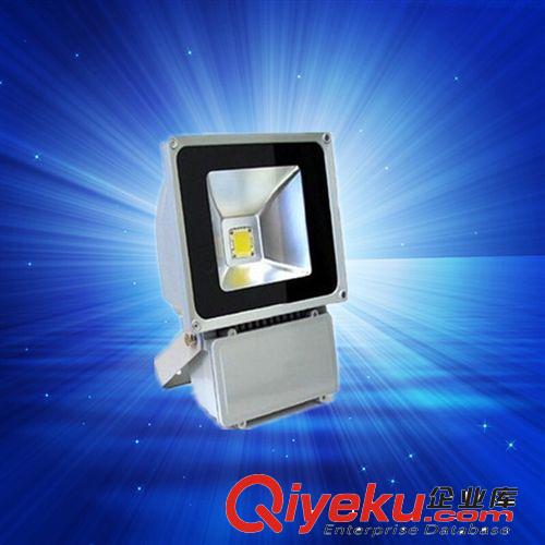 LED投光燈 led投光燈led泛光燈70w廠家供應(yīng)工程大功率集成戶外照明廣告投射原始圖片2