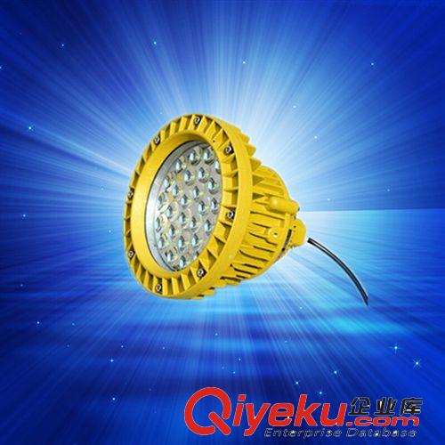 LED投光燈 LED防爆燈 免維護(hù)泛光燈30W 50W防爆投光燈廠家直銷量大從優(yōu)原始圖片2