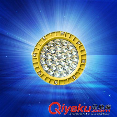LED投光燈 LED防爆燈 免維護(hù)泛光燈30W 50W防爆投光燈廠家直銷量大從優(yōu)原始圖片3