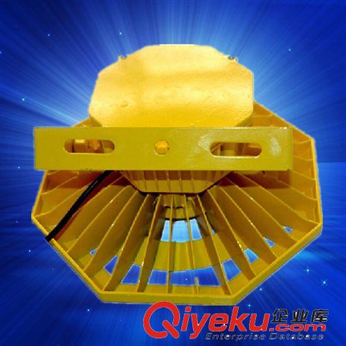LED投光燈 50w80w100W LED防爆燈投光泛光工礦燈廠房投射質(zhì)保兩年廠家直銷