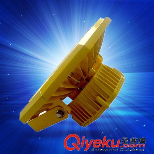 LED投光燈 50w80w100W LED防爆燈投光泛光工礦燈廠房投射質(zhì)保兩年廠家直銷