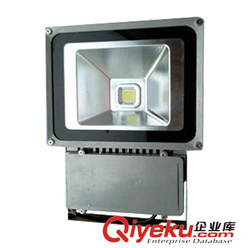 泛光燈 【專業生產】大功率60WLED投光燈 供應LED戶外照明燈具 LED泛光燈