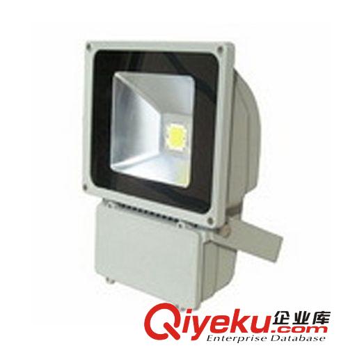 LED投光燈 【經久耐用】30W投光燈 低壓12-24VLED投光燈 30W集成低壓投光燈