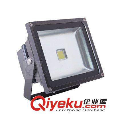 LED投光燈 【各種規格】低壓LED投光燈 DC12-24V集成LED投光燈 60W24V投光燈原始圖片3