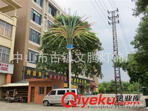 LED煙花燈 全國(guó){zd1}價(jià)景觀路燈裝飾亮化LED煙花燈原始圖片2