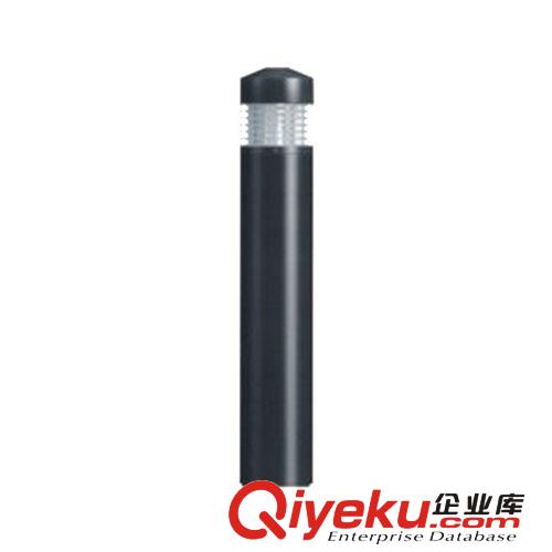 草坪燈 廠家漂亮景觀燈 各種優(yōu)惠 園林 公園別墅 小區(qū)等公共場(chǎng)所都適用原始圖片3