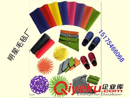 民用毛氈、毛氈制品 滌綸無(wú)紡布/紡粘無(wú)紡布/淋膜無(wú)紡布/復(fù)合無(wú)紡布原始圖片3