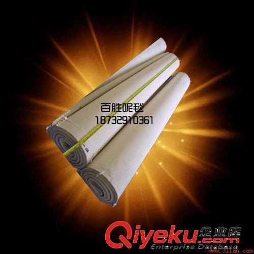 擠水機(jī) 高溫膠帶涂布機(jī) 多功能涂布機(jī) 膠帶涂布機(jī)  環(huán)形毯帶 輸送帶原始圖片2