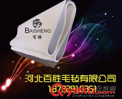 非織造布機械 涂布機 臥式網(wǎng)帶貼合機 復合機 環(huán)形毯帶 輸送帶原始圖片2