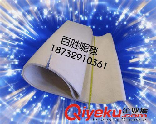 非織造布機(jī)械 網(wǎng)帶貼合機(jī) 立式網(wǎng)帶復(fù)合機(jī) 單膠槽膠水復(fù)合機(jī) 環(huán)形毯帶